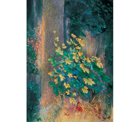 "Forest Maples" by William Winden